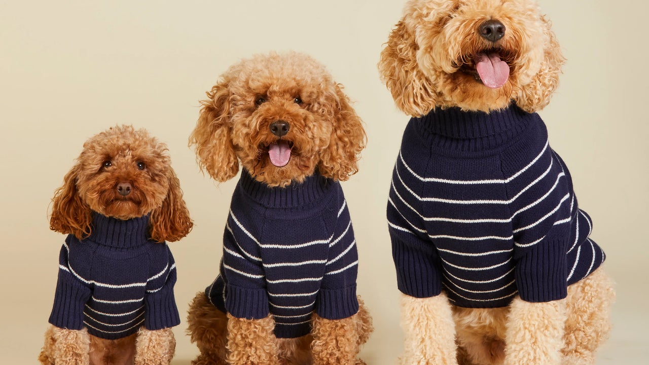 Reese Witherspoon's Draper James Teams Up with The Foggy Dog for